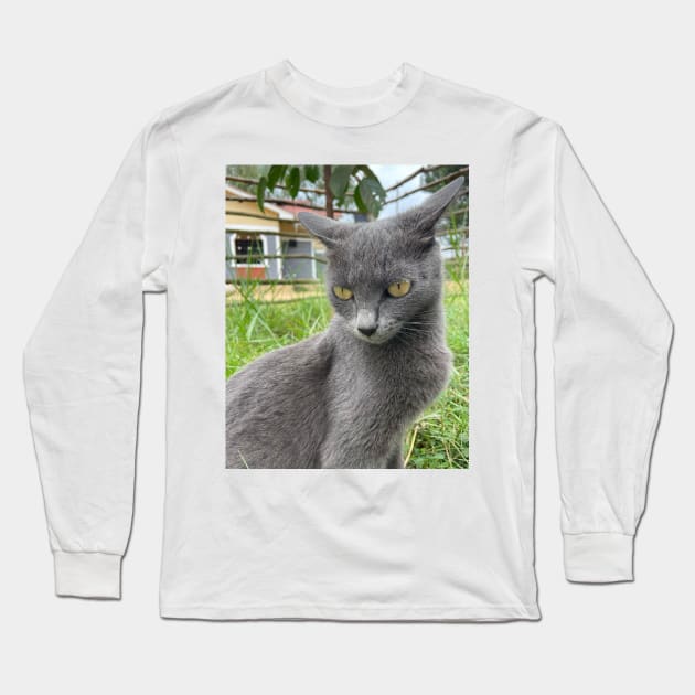 a portrait of a grey cat Long Sleeve T-Shirt by cute thingx